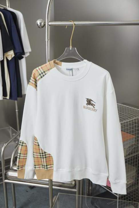 Picture of Burberry Sweatshirt _SKUBurberryS-XLxetr2231067